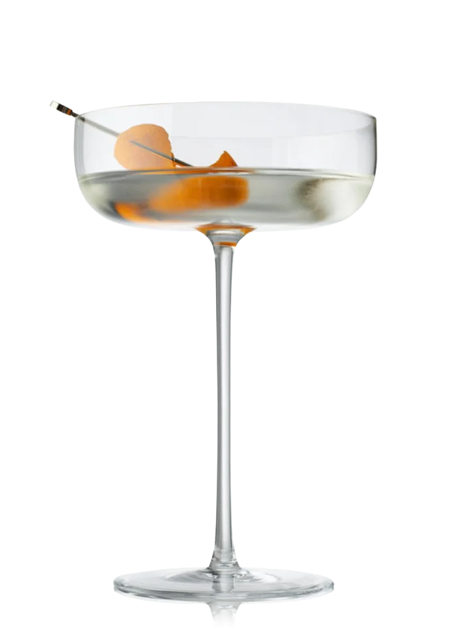 coktail martini gin